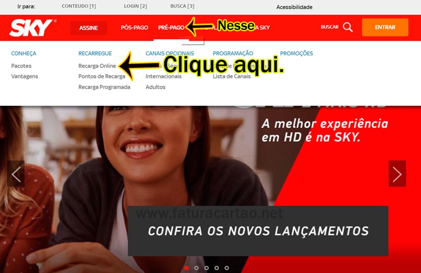 Sky Fatura: Como tirar e imprimir?